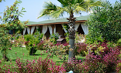 Bungalow Deniz Manzara